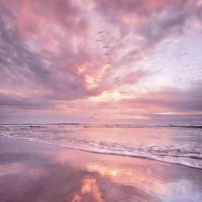 yabo网页版手机版