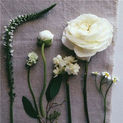 巴博体育官网安卓下载